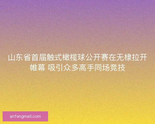 山东省首届触式橄榄球公开赛在无棣拉开帷幕 吸引众多高手同场竞技